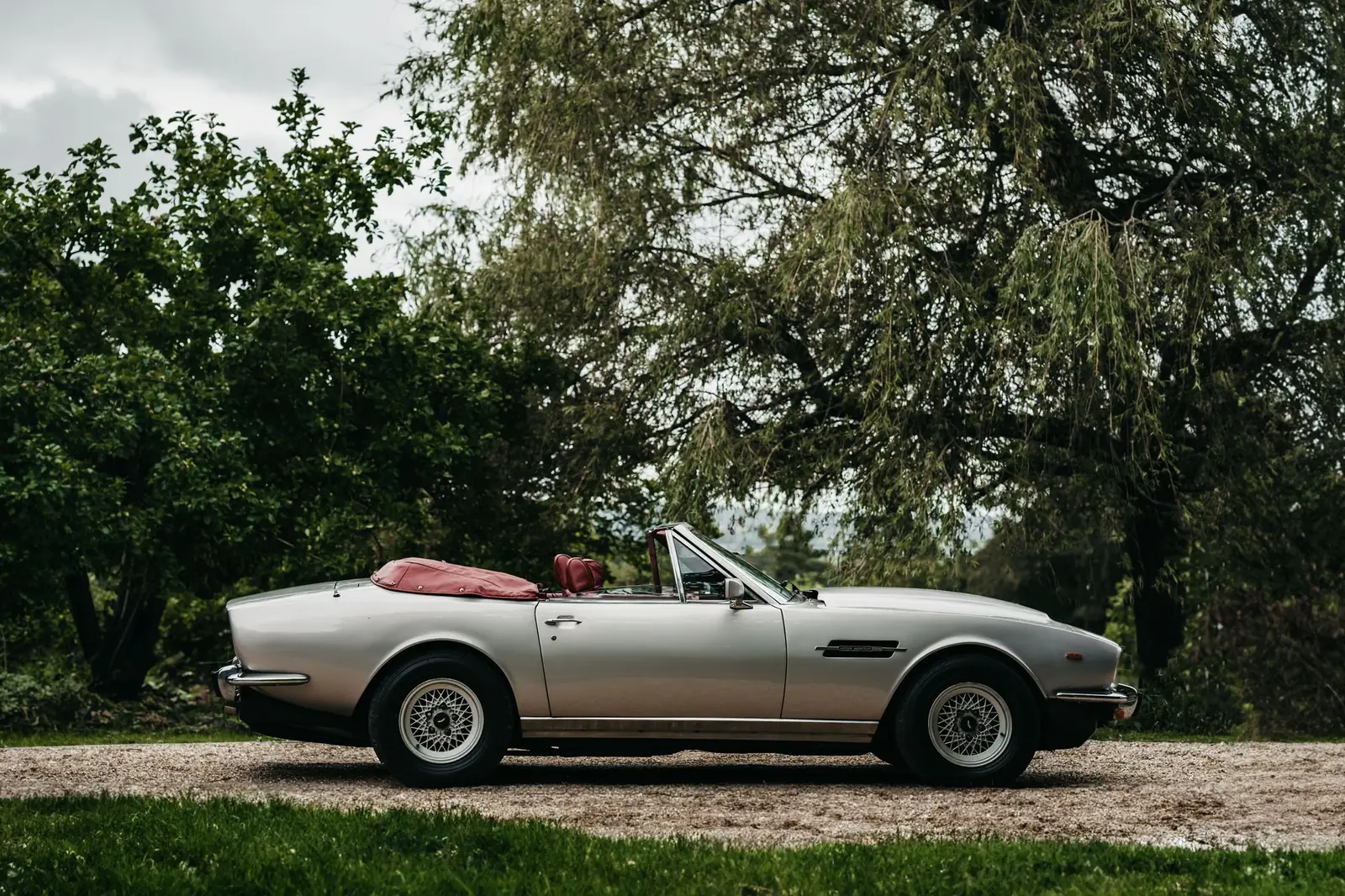 Aston Martin V8 descapotable clásico plateado junto a unos árboles