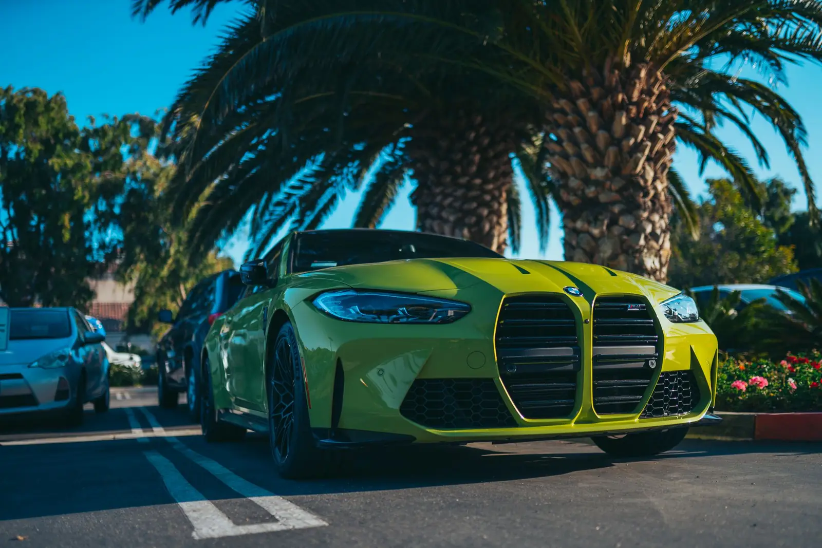 BMW M4 verde aparcado bajo una palmera